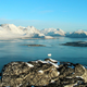 Paisaje de Groenlandia meridional. Wikimedia Commons